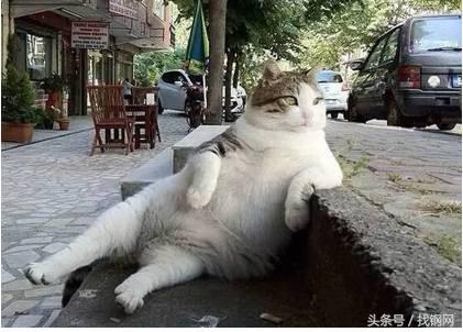 钢材销售员的一天，简直太形象了！笑喷……