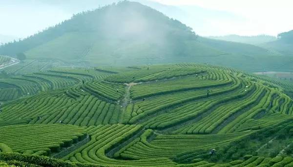 宁波情侣游玩约会好去处,宁波约会一日游