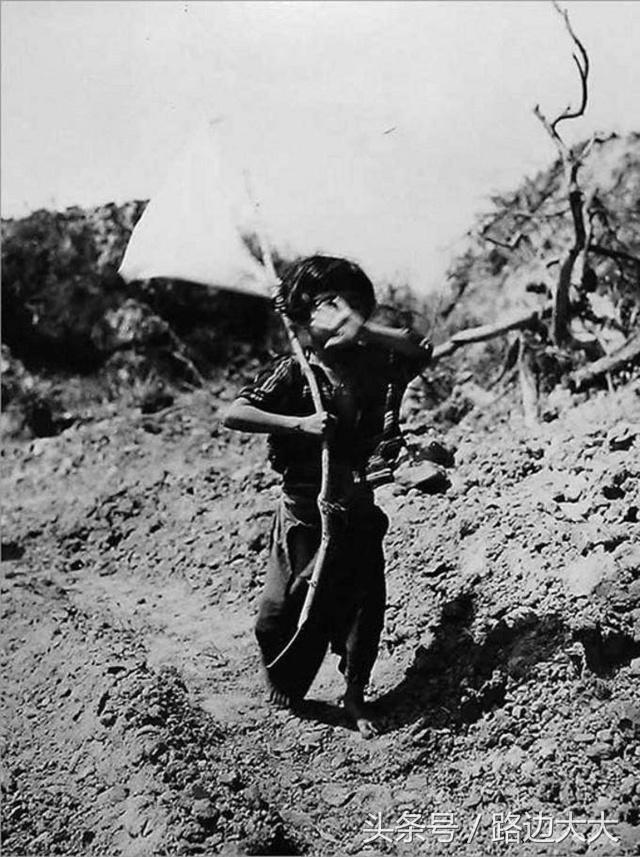 从中国传入日本的东西,从中国传到日本的文化有什么