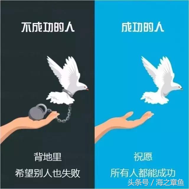 成功者与失败者的区别图文,成功者和失败者的本质区别图片