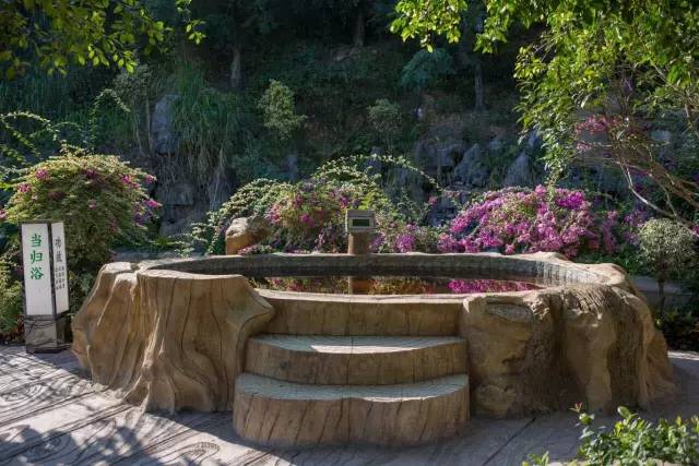 南宁游玩踏青攻略路线推荐,南宁春游赏花攻略图