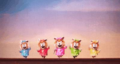 动物好声音所有歌曲,动物好声音