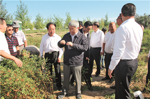 刘永富谈扶贫直播,刘永富访谈视频