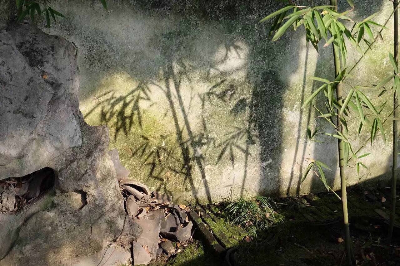 福大大读经群3.1-3.7作业