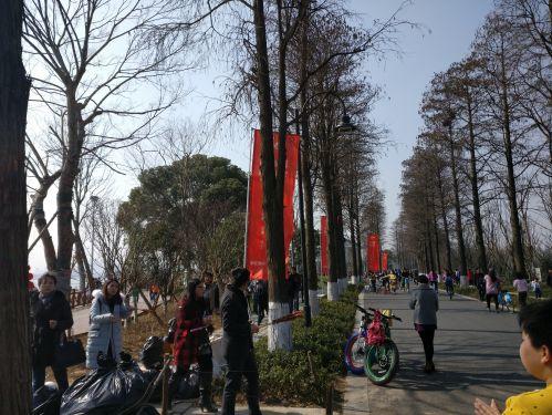 华为p10plus麒麟960,麒麟960徕卡双摄