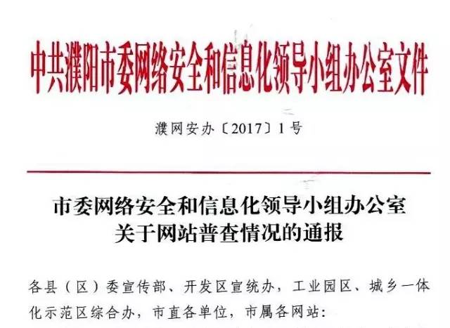 缃戠珯鑷煡鎯呭喌鎶ュ憡,缃戠珯鎺掓煡鎶ュ憡