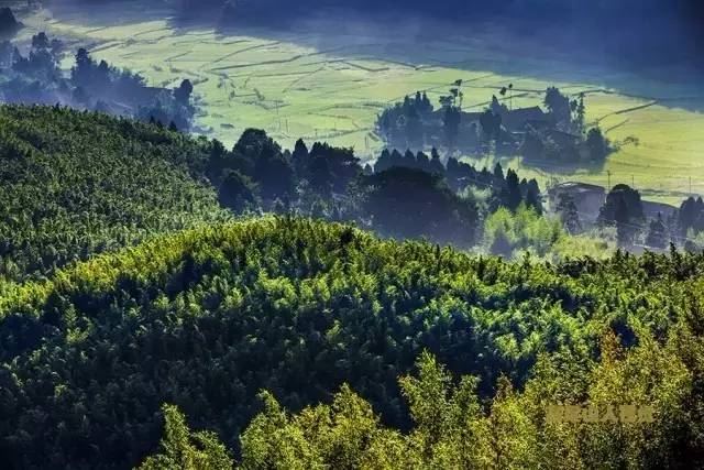 重庆最富有的8个区县 (重庆最发达的10个区县)