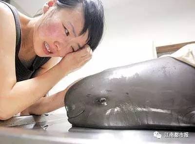 疼！一个铁钩，钩住的是全人类的的心