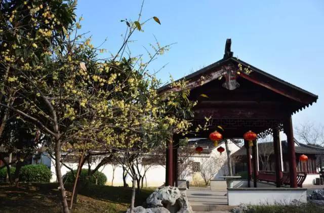 苏州园区赏梅攻略,何时去苏州赏梅最佳