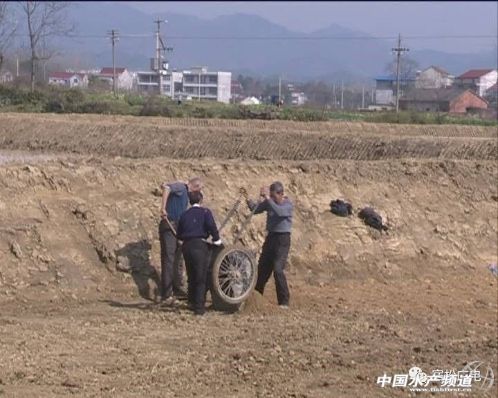 水蛭养殖季节,水蛭捕捞时间在几月份