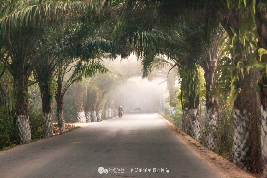 人生必须经历一次孤独的旅行,人生一定要去一次版纳