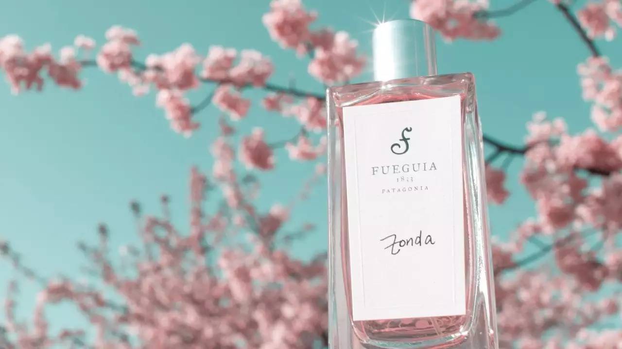 玉兰乌龙茶凤梨酥,乌龙茶凤梨酥