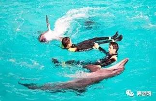 济州岛最美的海岸,济州岛最美的山峰