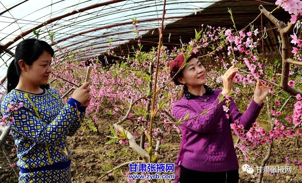 甘州大事件全集,甘州最近发生的事情