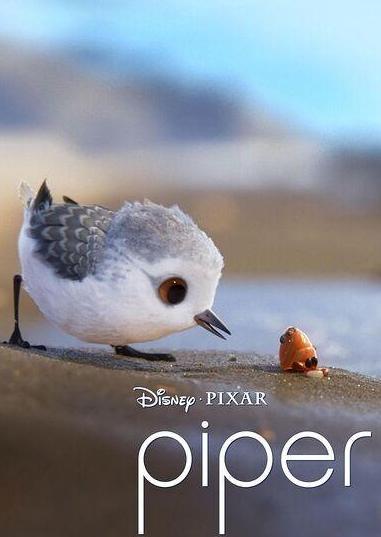 2017年奥斯卡颁奖乌龙事件,奥斯卡乌龙颁奖典礼完整版