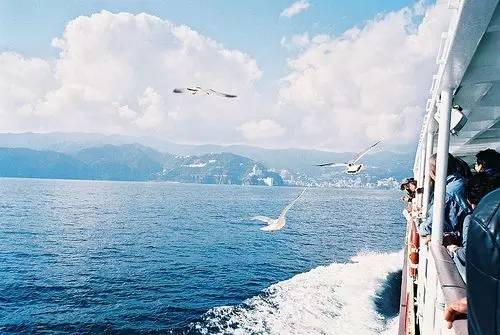 路边测尾气显示超标是怎么回事,车辆通过遥感尾气检测显示合格