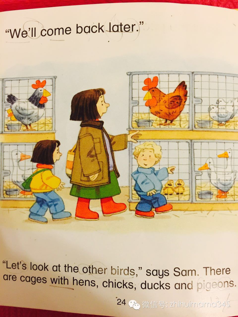 听西西读英文《农场故事集》第二篇：MarketDay