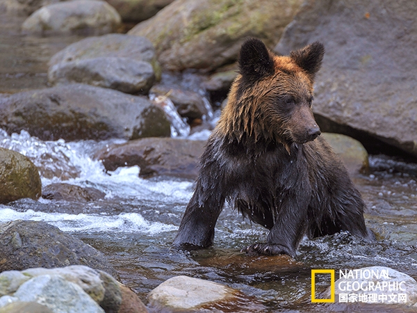 有生之年一定去北海道看雪,此生不能不去的景点