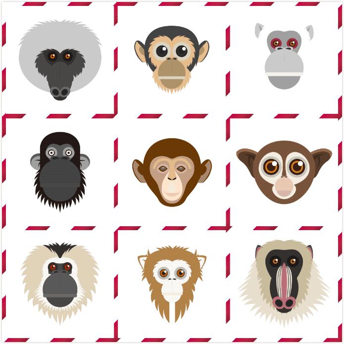 2016年是什么猴,2016年是属什么猴