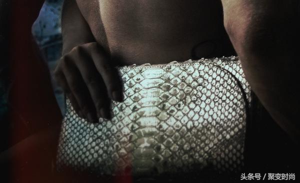 无与伦比皮肤,世界上最贵的蛇皮是什么蛇皮