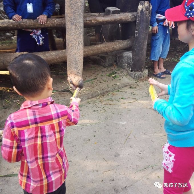 能在异国被警察抓也没谁了吧？这是我的清迈，和你去的不一样！