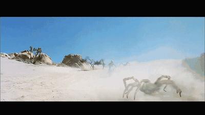 这是你们要的大长腿，备好纸巾，准备上下其手吧