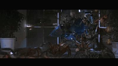 这是你们要的大长腿，备好纸巾，准备上下其手吧