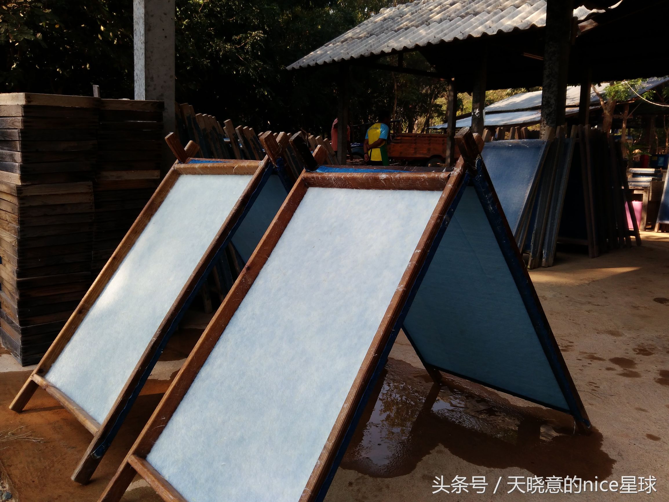 泰国大象旅行记,泰国旅游跟大象近距离接触