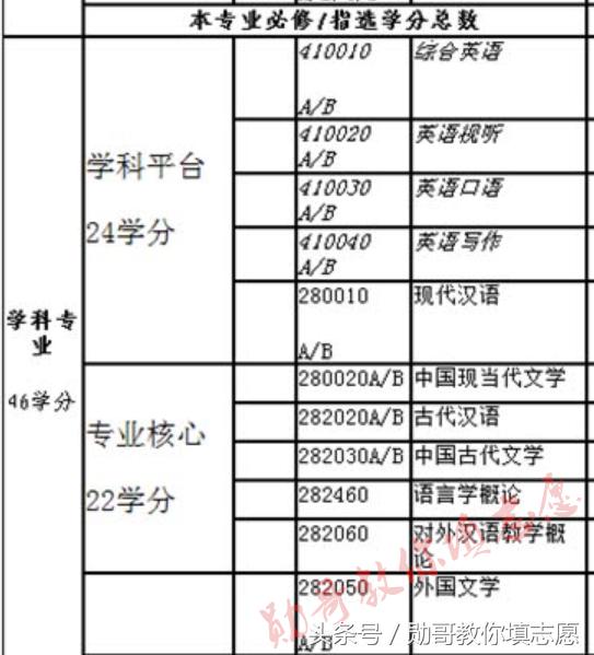 就业越来越难是什么原因,对外汉语专业就业
