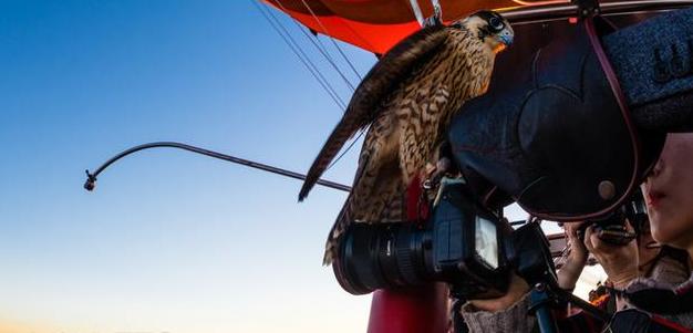 终于知道为什么那么多人去打卡了,终于知道为什么这么多人去韩国