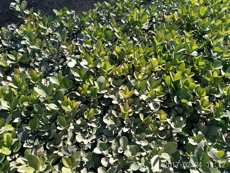 测评360n5,360n5好不好