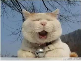 钢材销售员的一天，简直太形象了！笑喷……