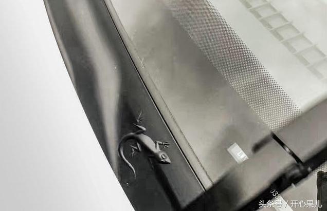 广汽菲克jeep专业级试乘试驾基地,广汽菲克jeep指南者新款