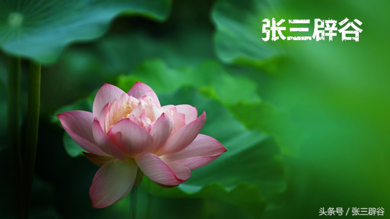 辟谷如何控制不饿,辟谷怎么做到不饿