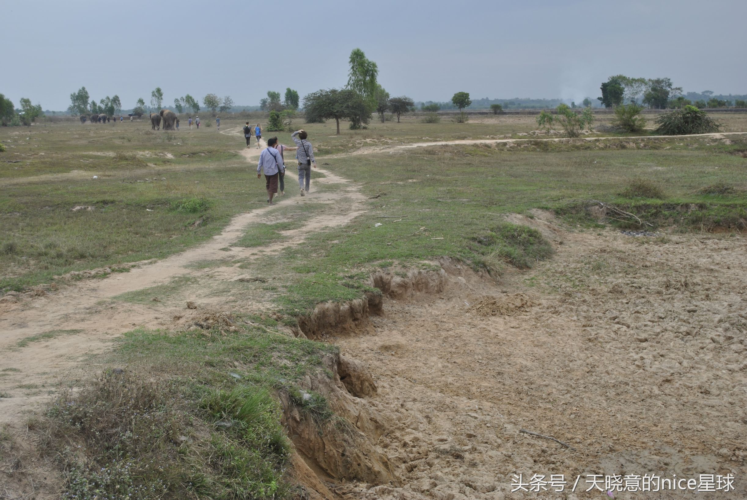泰国大象旅行记,泰国旅游跟大象近距离接触
