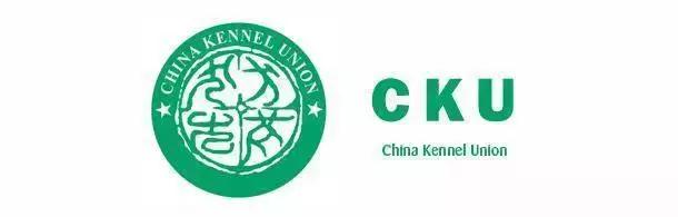 狗狗打比赛项目有哪些,狗狗比赛都有什么项目