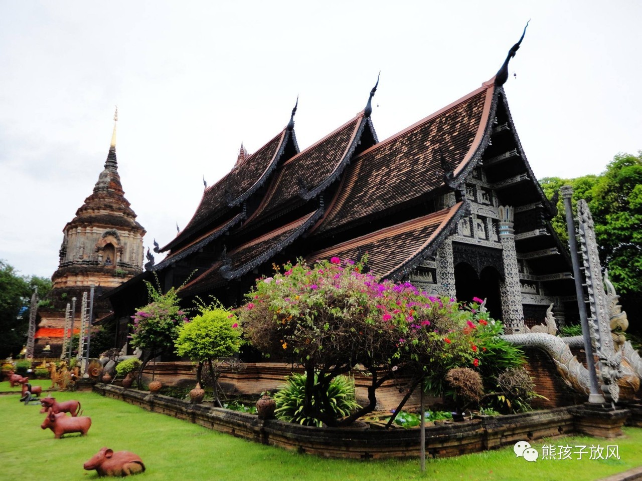 能在异国被警察抓也没谁了吧？这是我的清迈，和你去的不一样！