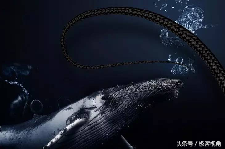 别和我扯,怎么扯都扯不乱的数据线