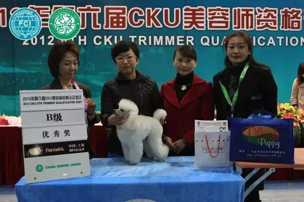 狗狗打比赛项目有哪些,狗狗比赛都有什么项目