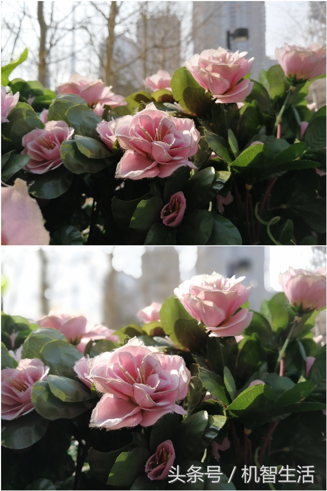 荣耀v9对比nova2s,荣耀v9升级鸿蒙系统后评测