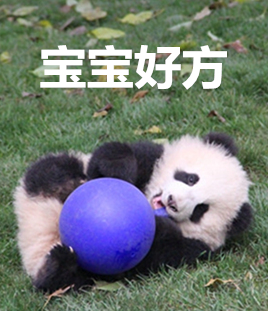 抱大腿暴富后续,抱大腿走上人生巅峰