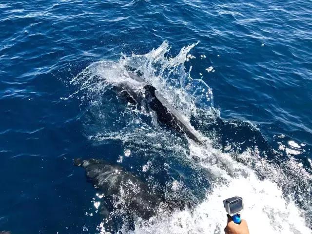 这才是旅行的样子,从亚洲至南美洲,他比我们多了点勇气和决心