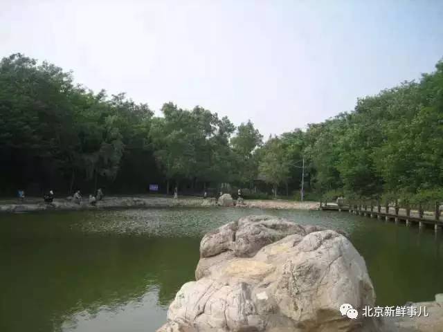 北京赏花踏青自驾游,北京国家森林公园踏青