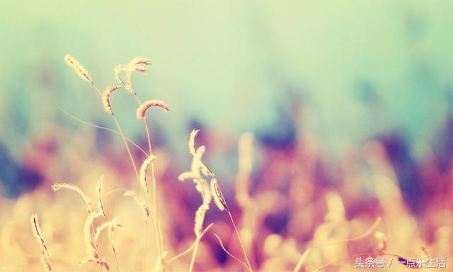 让你成功的5个方法,想要成功的十个秘诀