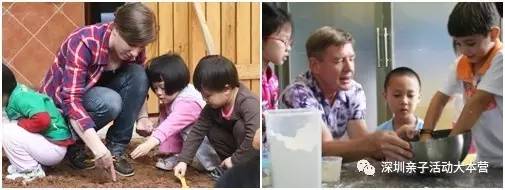 深圳市南山区幼儿园择校最全攻略,深圳南山要择校怎么考