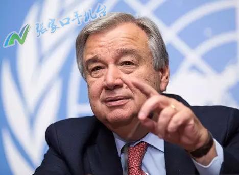 张家口新闻播报视频,张家口手机台新闻联播