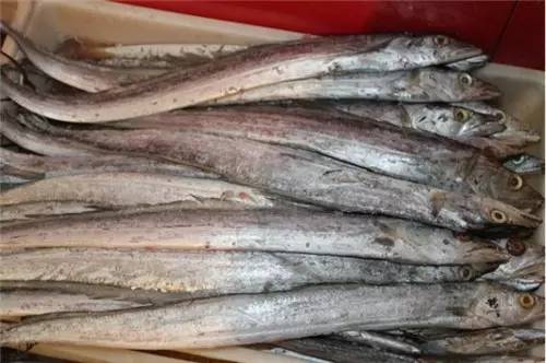 威海的海鲜什么时候是旺季,威海应季海鲜