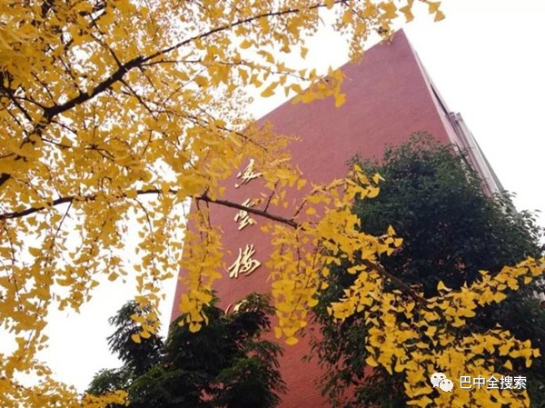 想考绵阳中学要在哪个初中读书,想在绵阳读小学