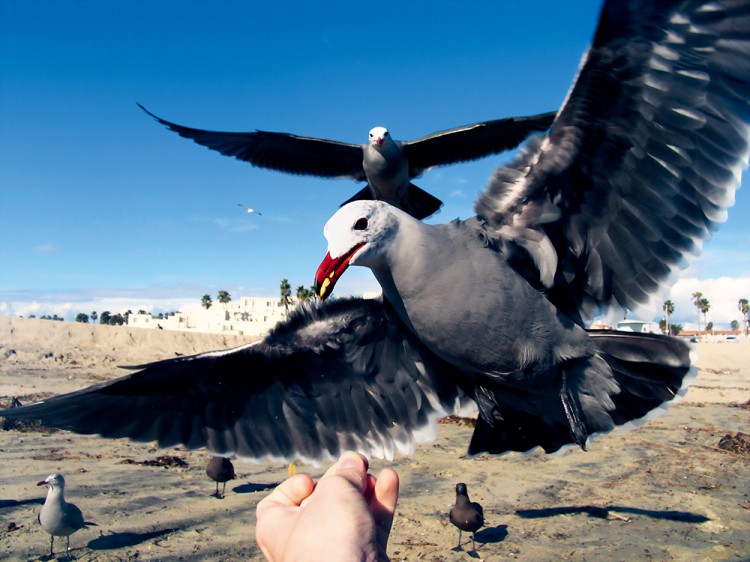 黄昏海边拍照片怎么拍出高级感,海景照拍摄技巧