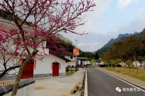 “南方夏都”桂东，平汝高速上的避暑休憩地